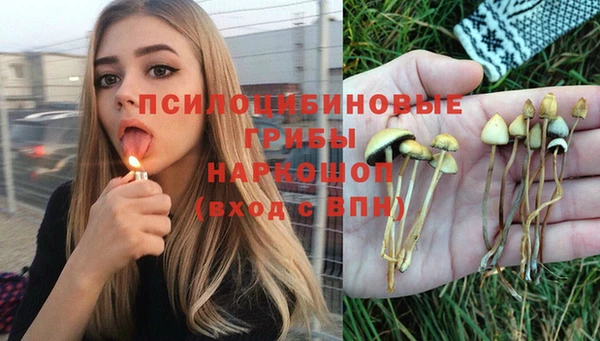 эйфоретик Белокуриха