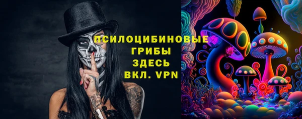 эйфоретик Белокуриха